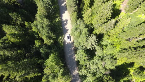 Un-Todoterreno-Navega-Por-Caminos-Forestales