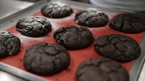 chocolate cookies fresh from the oven sprinkled with powdered sugar - isolated