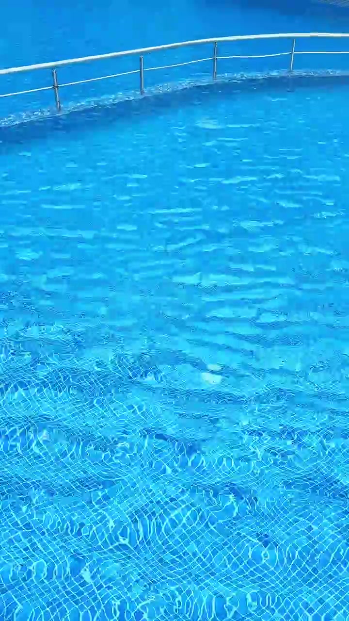 Vand i en pool reflekterer sollys og viser mønstre af lys og bevægelse på et fritidssted på en varm sommerdag.