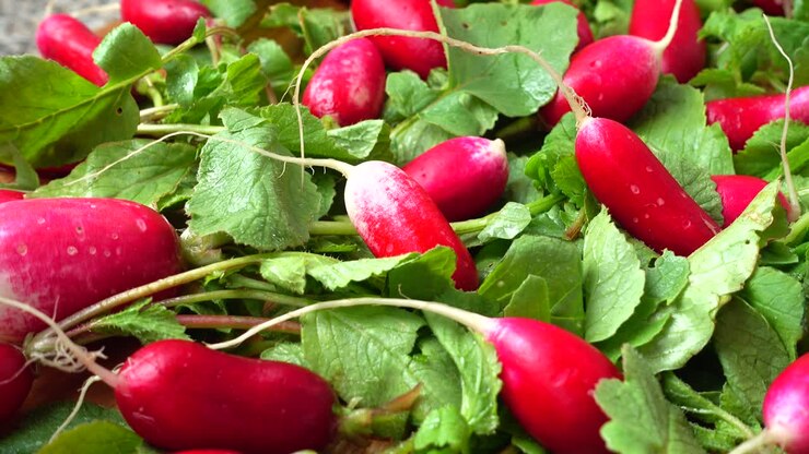 Radish fruits on a cutting board