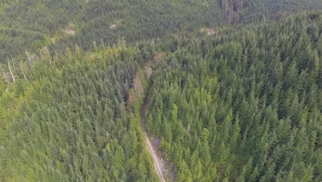 Vista-Aérea-De-La-Carretera-4wd-A-Través-Del-Denso-Bosque