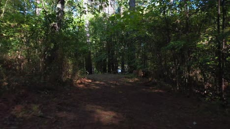 Dröhnen-Durch-Einen-Naturwanderweg-In-Georgia