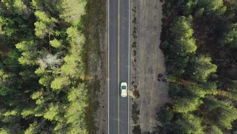 Fast-car-on-highway-aligned-by-thick-green-pinewoods,-birds-eye-view