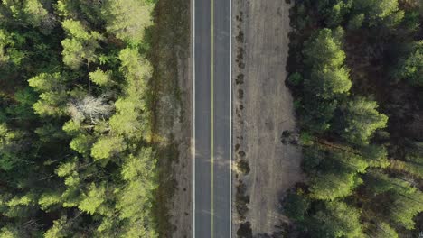 fast car on highway aligned by thick green pinewoods, birds eye view