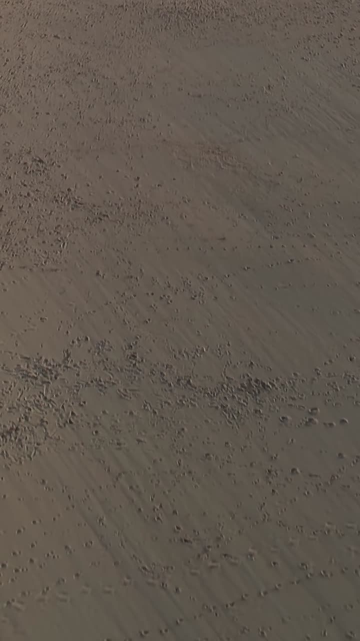 Top View of Sandy Dune Surface with Sparse Bushes