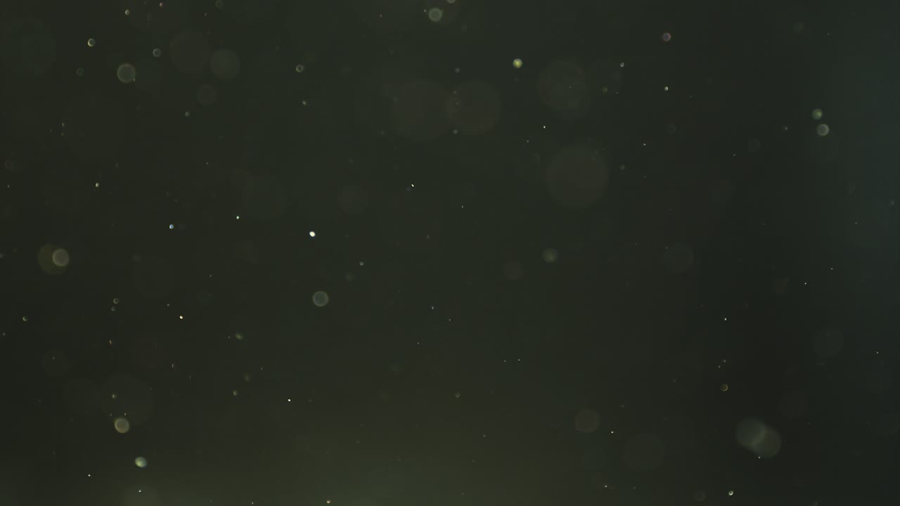 먼지 입자가 천천히 떠다니며 부드러운 녹색 배경 느린 동작