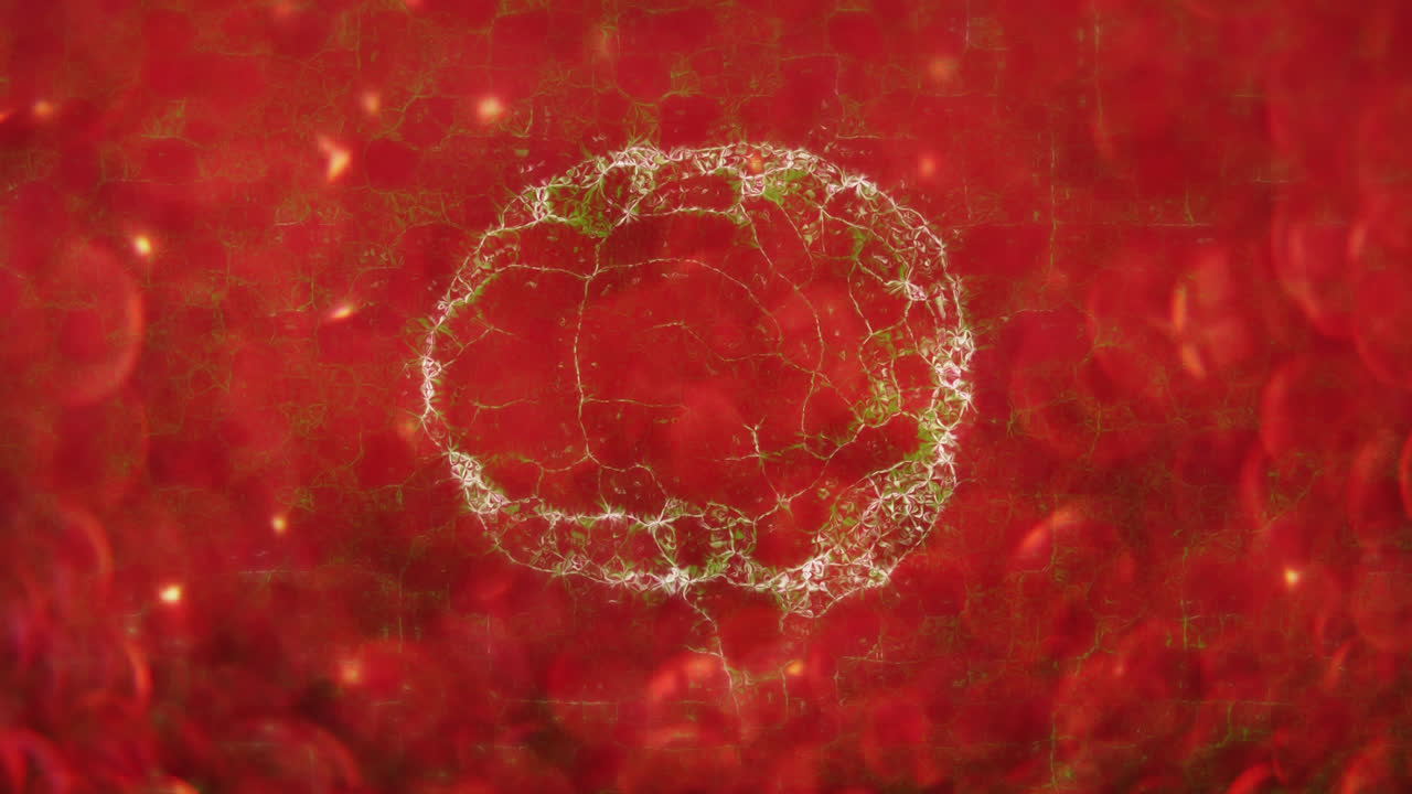 animación del cerebro humano sobre las manchas rojas