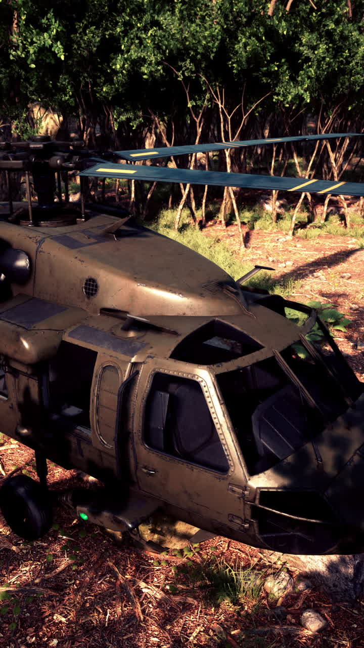 un helicóptero militar se estrelló en un bosque.