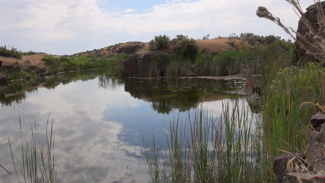 no pasa mucho ya que esta superficie serena del estanque refleja el cielo.