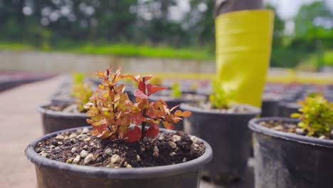 Water-drops-falling-from-finger-in-slow-motion.