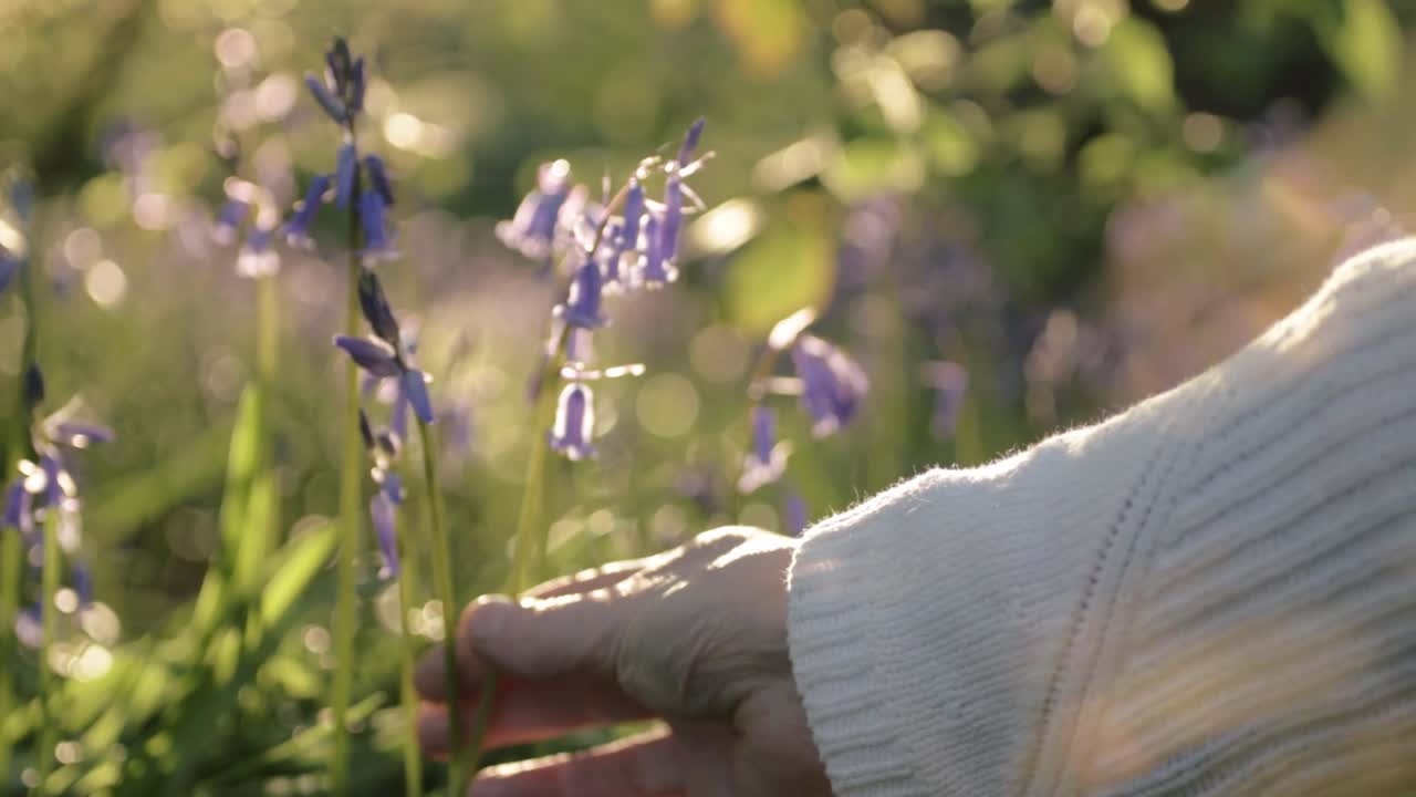 Woman holding blue flowers in the countryside close up shot