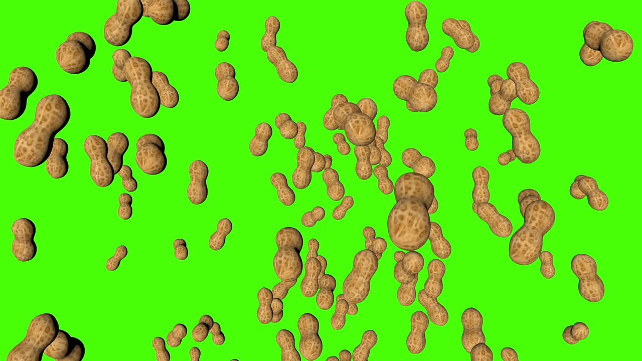 3D peanuts falling animation on green screen chroma key background