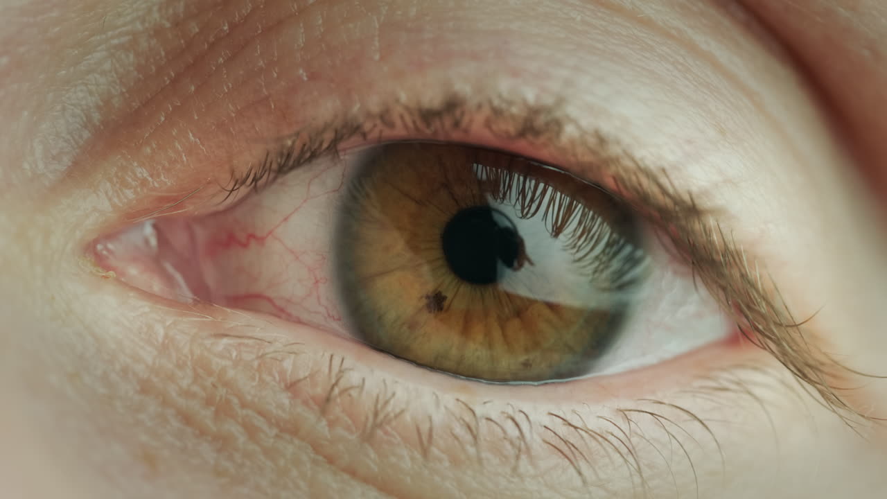 foto macro del ojo marrón de una mujer de mediana edad