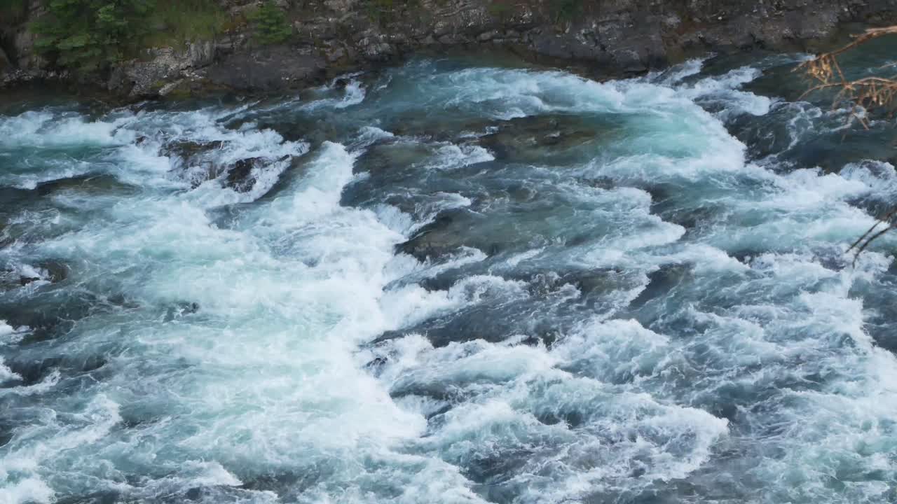 나비 강, 밴프, 앨버타, 캐나다에서 활의 배경으로 야생 꽃의 풍경 보기
