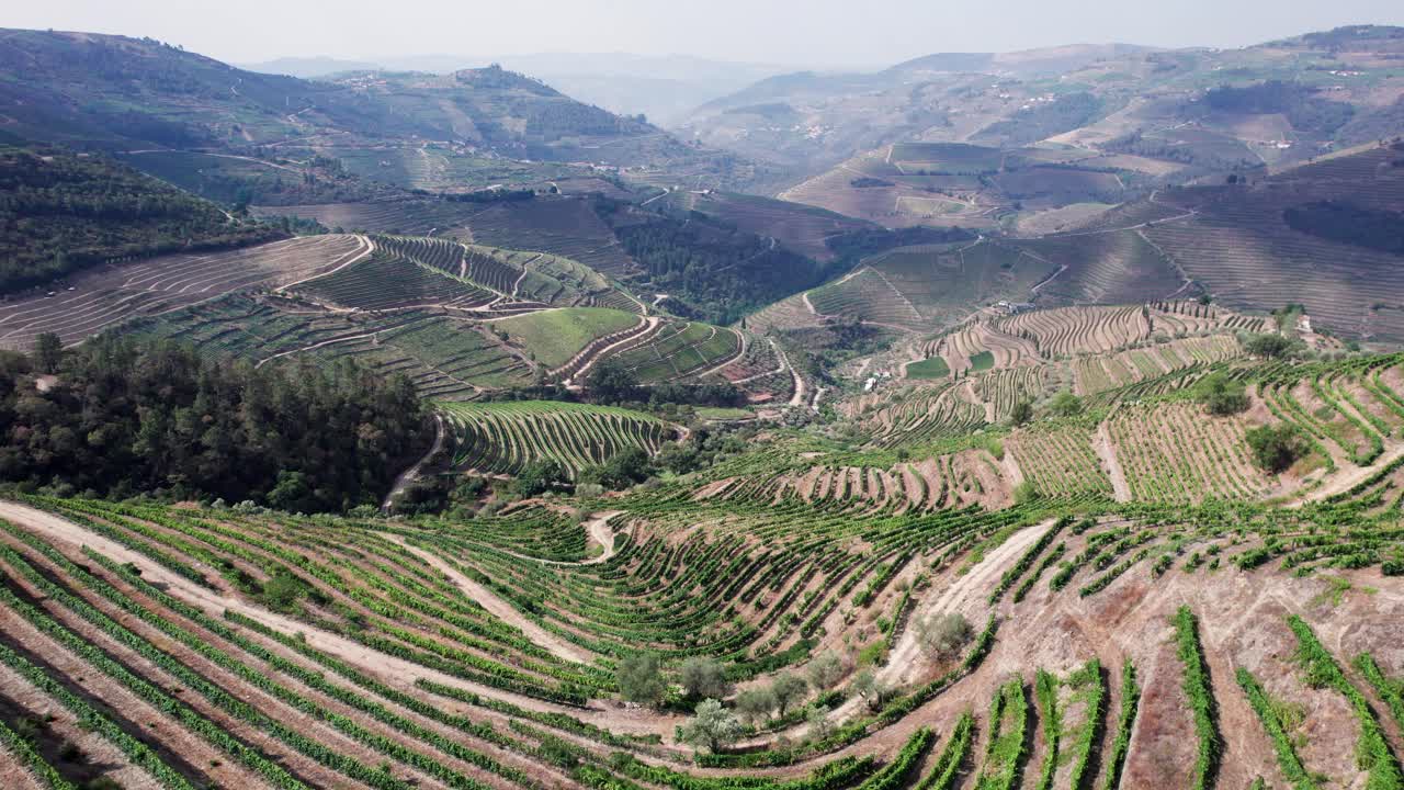 Sorvolo sopra terrazzamenti collinari di vigneti in una valle di campagna in Portogallo