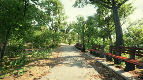 Walking-Street-With-Natural-View-In-Public-Park