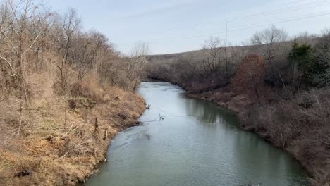 wasteland river flowing through dying trees