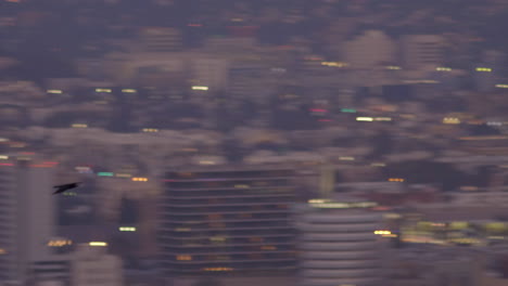 Crow-flying-above-blurry-Los-Angeles-on-the-background