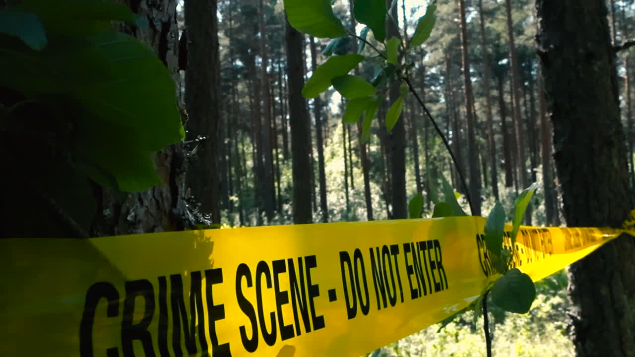 Close up or closeup footage of a yellow crime scene do not enter police tape ribbon wrapped around and pulled infront of a sunny and dense forest during a summer day with green leaves moving slowly