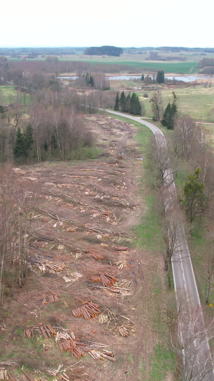 High angle aerial shot showing extensive tree removal and stacked logs in a forest clearing next to a winding country road, highlighting environmental impact and timber industry