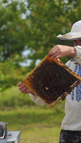 beekeeper is working with bees and beehives on the apiary. beekeeper on apiary. vertical video