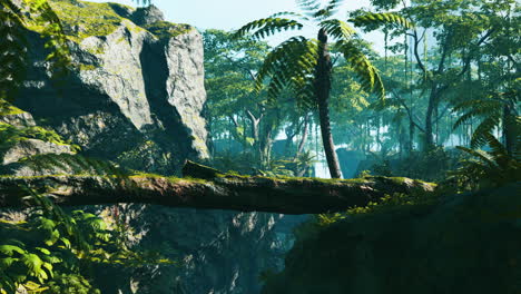 selva tropical exuberante con puente natural del tronco del árbol