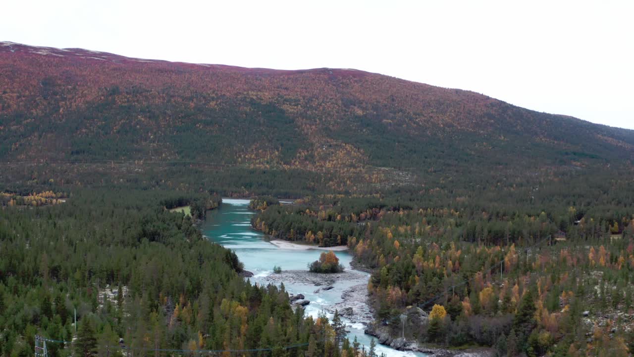 río a través de pinos en dovrefjell, noruega con montaña cubierta de colores otoñales