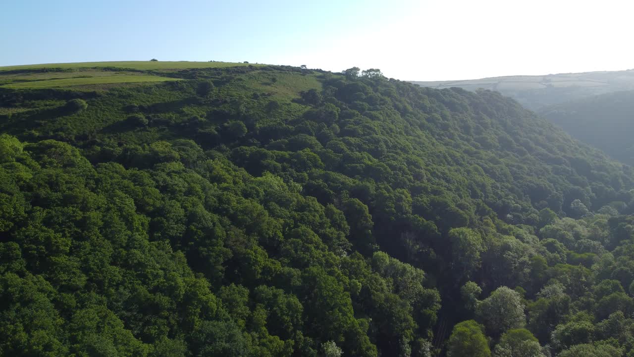 Fast Moving Aerial View of Dense Deep Valley Forest with Fields on Top and Sunrise Flare Haze. Beautiful English Countryside Footage. Filmed on North Devon, UK.