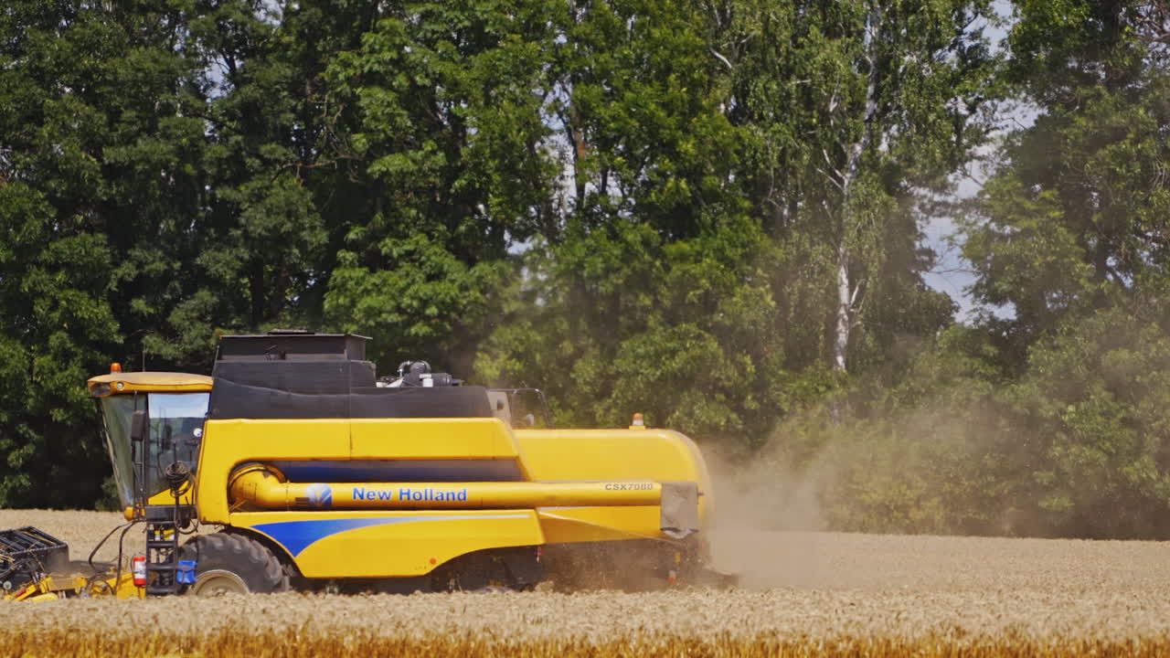 Combine harvesting wheat. Combine working in fields at countryside farm