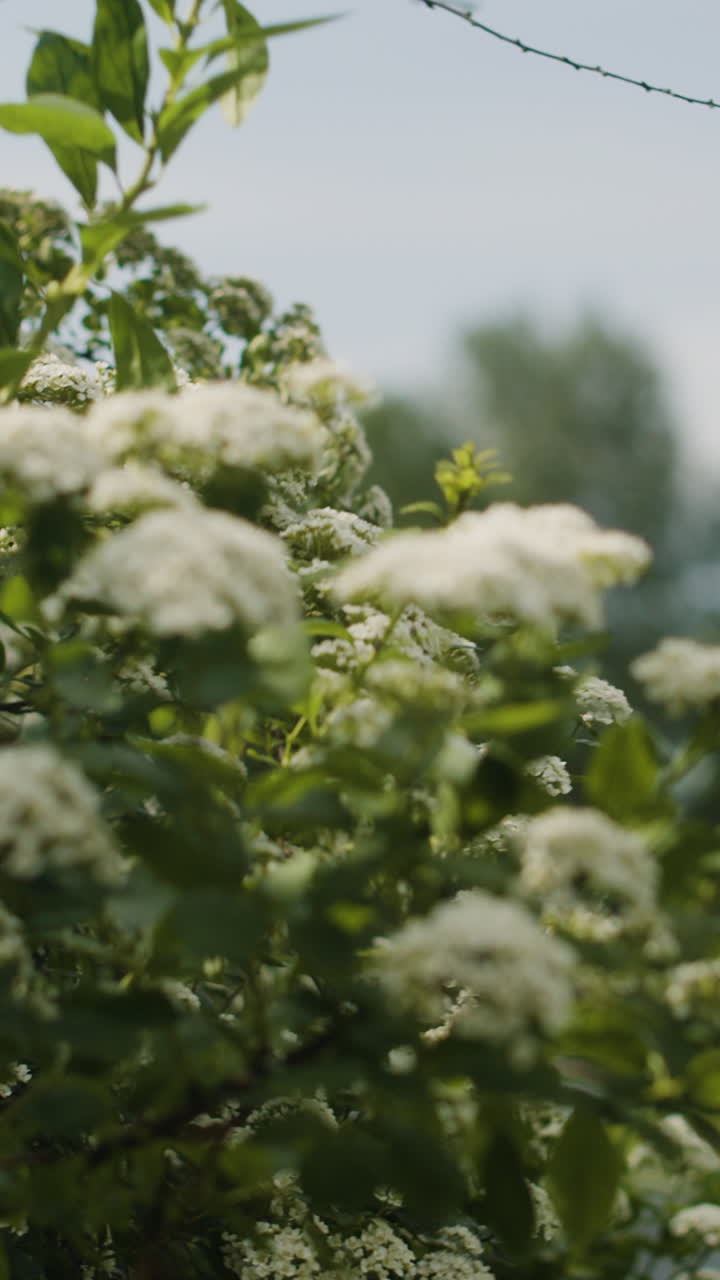 Picturesque park scene with flowers, trees and benches
