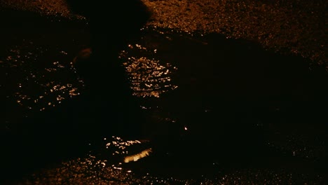 person steps in puddle with reflection of streetlight berlin, germany