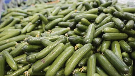 Mounds-of-fresh-cucumber-on-display-at-the-supermarket