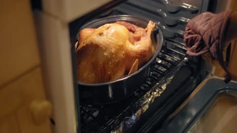 removing a cooked thanksgiving turkey from the oven in slow motion 4k