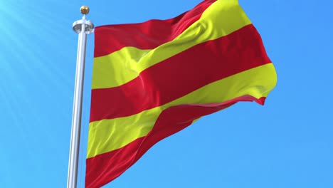 flag of aust-agder fylke, norway. loop