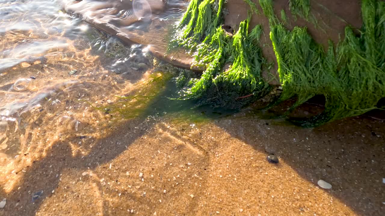 Waves gently wash over moss-covered rock
