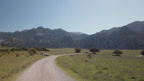 POV-walking-on-gravel-trail-in-grassy-valley-with-mountain-background