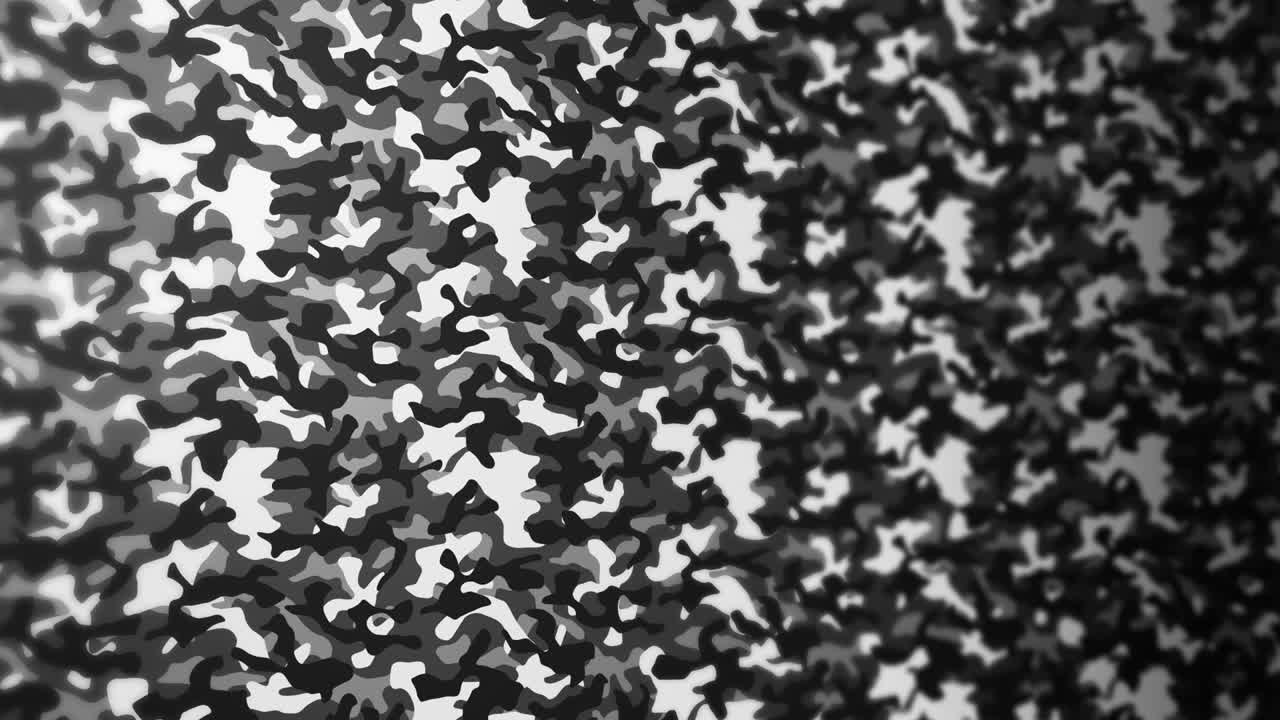 백색 위장 패턴 배경, 군사 유니폼 개념, 추상적인 선과 파동 텍스처, 루프 애니메이션