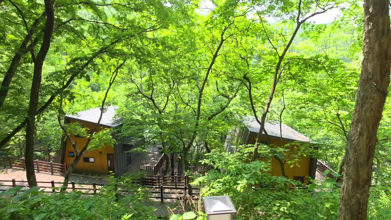 Wooden cabins surrounded by dense green trees and sunlight in the tranquil woods of Maninsan Ecological Park - truck right shot
