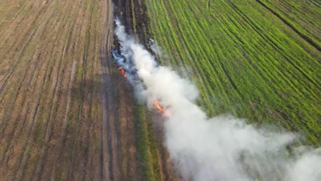 Imágenes-Aéreas-De-Humo-Arrastrado-Por-El-Viento-Una-Posible-Contaminación-Del-Aire-Mientras-Los-Agricultores-Queman-Hierba-Para-Preparar-La-Tierra-Para-La-Siembra,-Quema-De-Pastizales,-Pak-Pli,-Nakhon-Nayok,-Tailandia