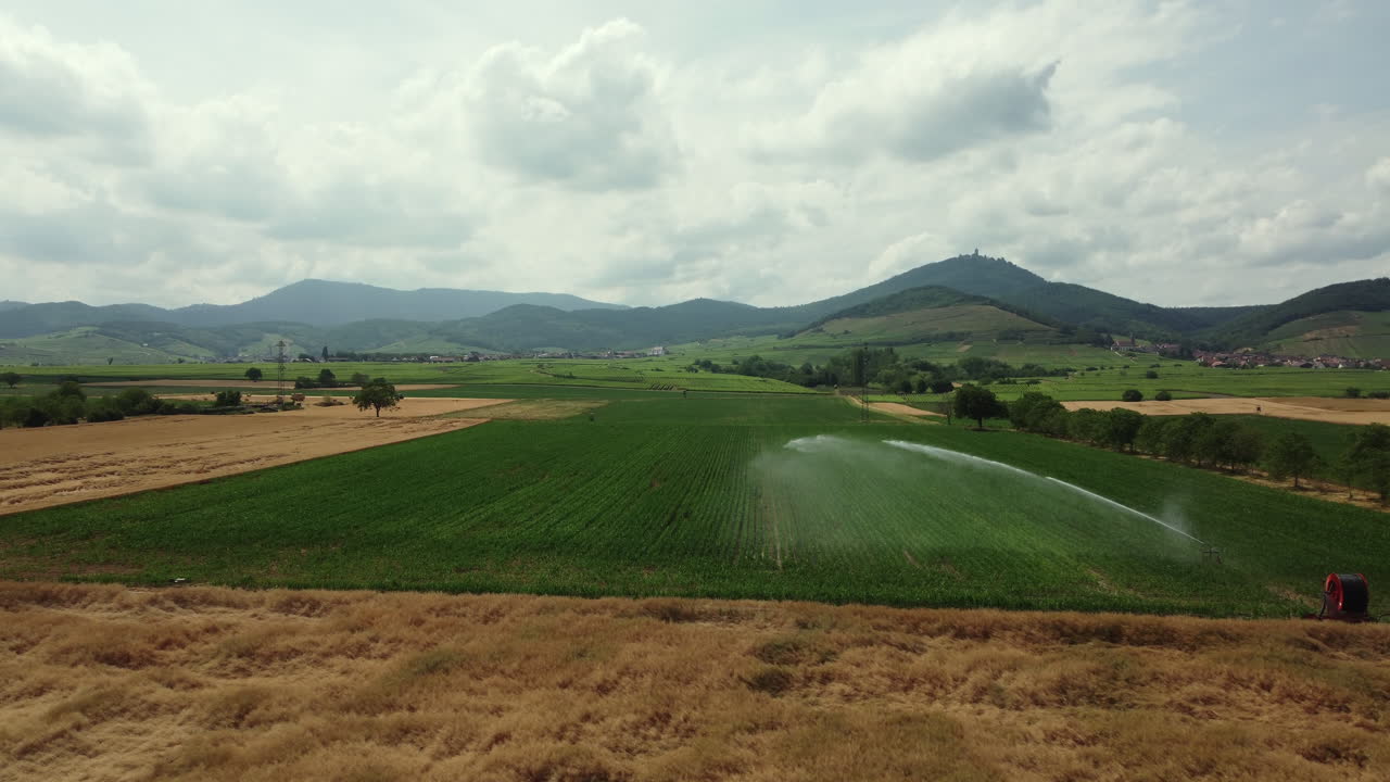 Aerial View of Irrigated Farmland with Mountains in the Background