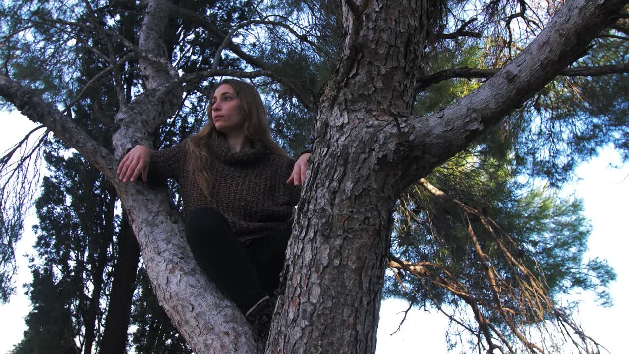 Woman Sitting in a Tree