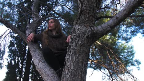 woman sitting in a tree