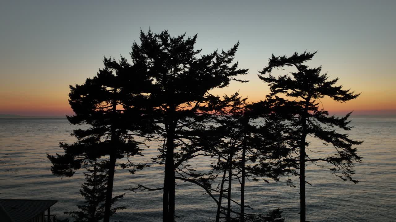 태평양 일몰이 내려다보이는 윤곽이 있는 나무의 조감도