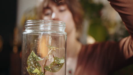 mujer plantando una planta en un frasco de vidrio