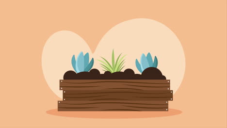 planta de interior de madera en la animación de la olla