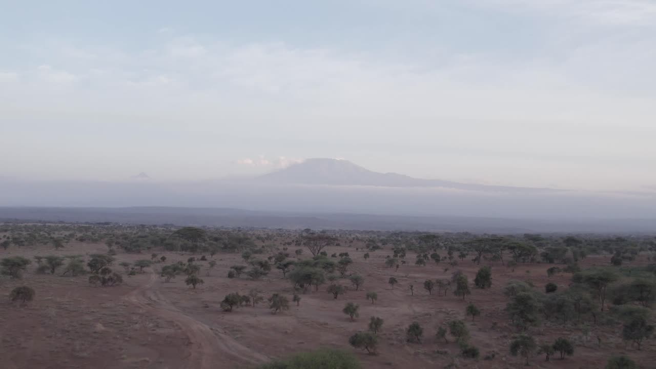 Ripresa aerea con drone del Parco Nazionale di Amboseli, Kenya.