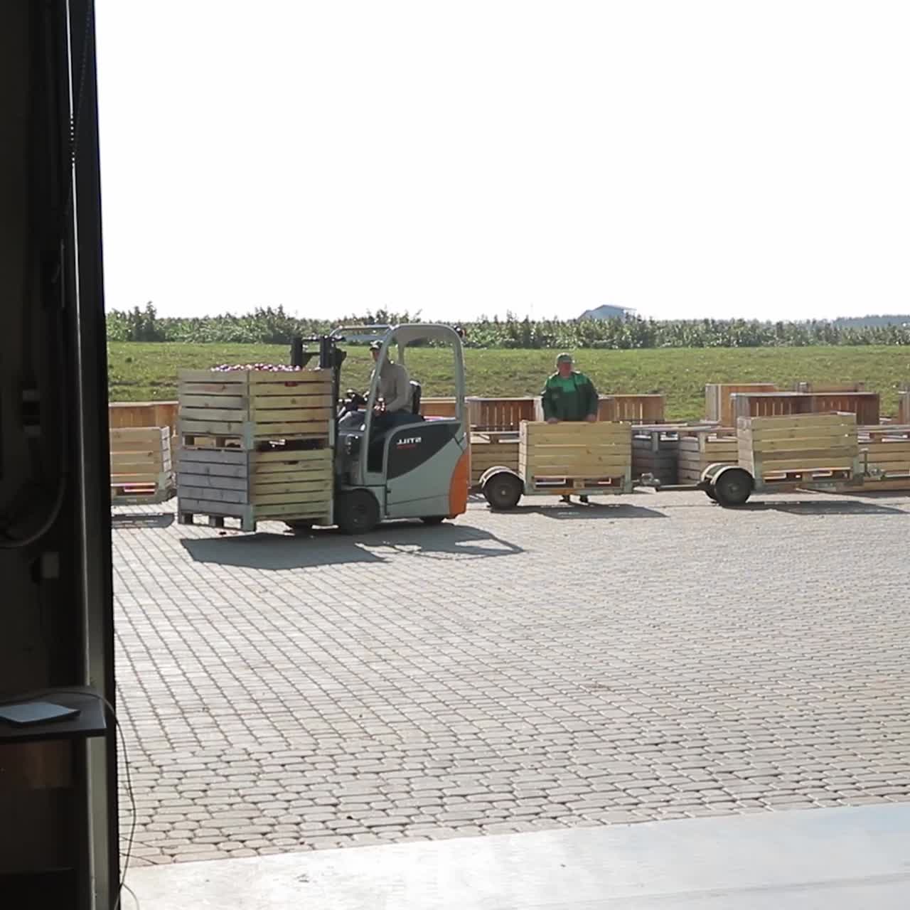 Apple crates carrying with forklift