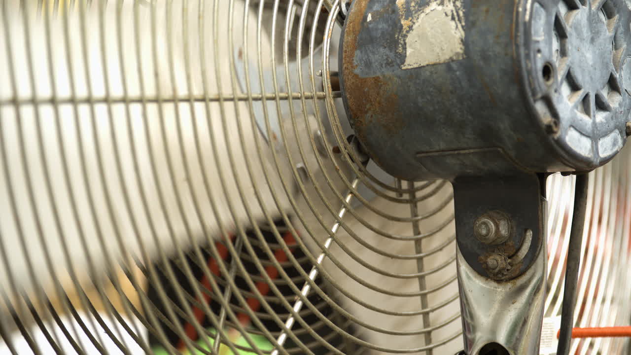 미국 아칸소주 도그우드 페스티벌 50주년 기념식