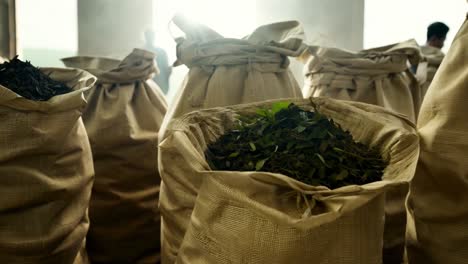 sacks of tea leaves