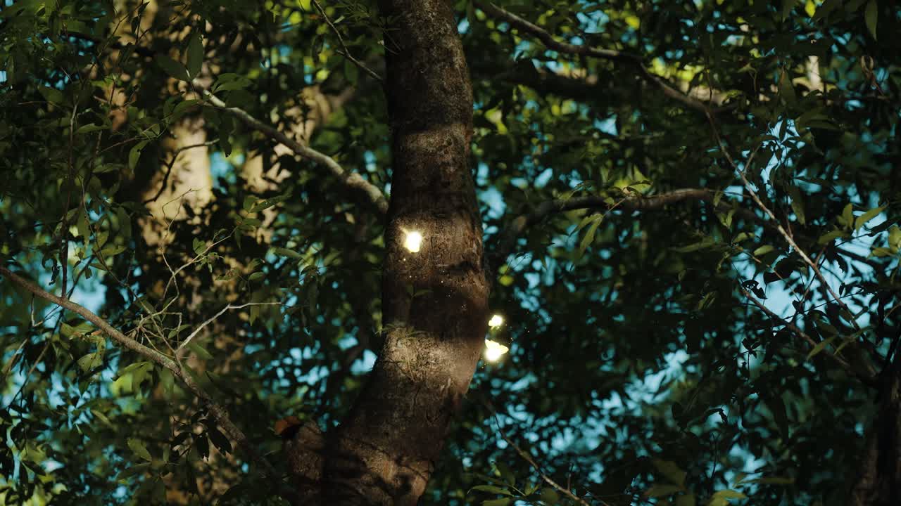 Fantasy Forest with Glowing Dancing Fairies